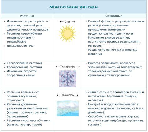 Влажность и температура: главные факторы, влияющие на работу деревянных окон