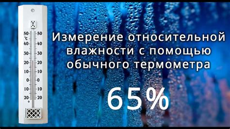 Влажность и температура для оптимального развития черной линзы