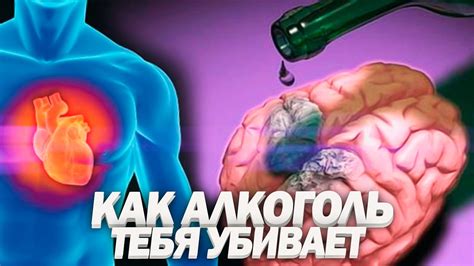 Влияние алкоголя на организм без желчного пузыря