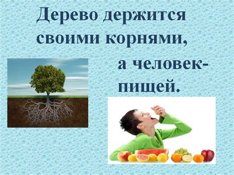 Влияние бария на здоровье: что важно знать