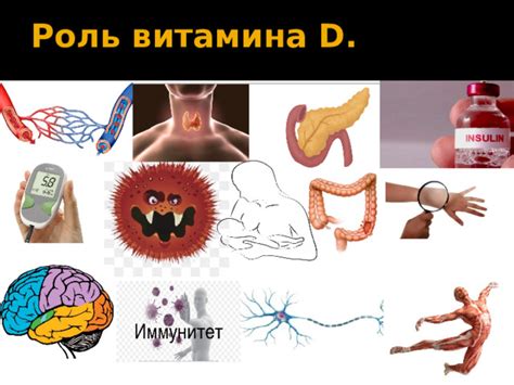 Влияние витамина Д3 на организм человека