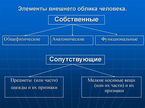 Влияние внешнего облика и стиля на привлекательность