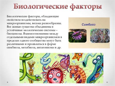 Влияние внешней среды на развитие котят