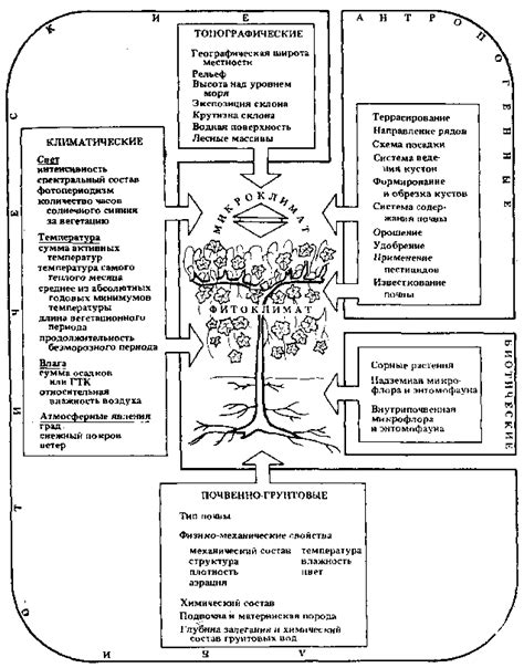 Влияние внешних факторов (ветер, тряска и т.д.)
