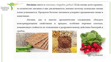 Влияние внешних факторов на вяние молодых побегов голубики