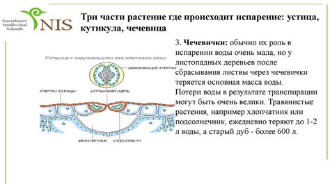 Влияние внешних факторов на сценарии