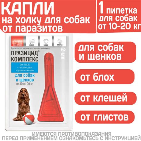 Влияние глистов на здоровье щенков