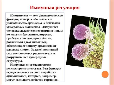 Влияние гормонов и иммунной системы