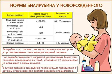 Влияние диеты матери на билирубин новорожденного
