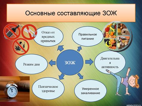 Влияние здорового образа жизни на организм