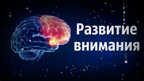 Влияние зеленого цвета на концентрацию и память
