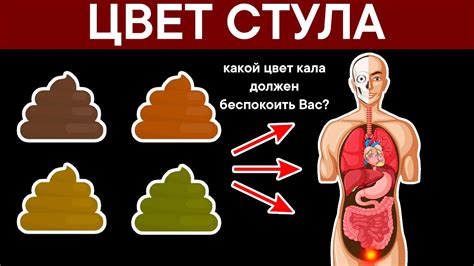 Влияние инфекций на цвет стула