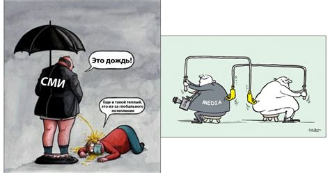 Влияние кабаних на общество