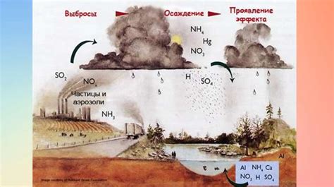 Влияние кислотности на текстуру