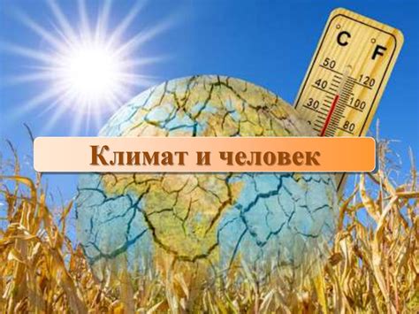 Влияние климата на миграцию дятлов
