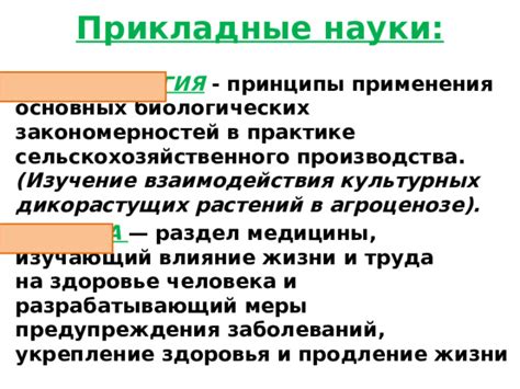 Влияние колленхимы на укрепление и защиту органов растений