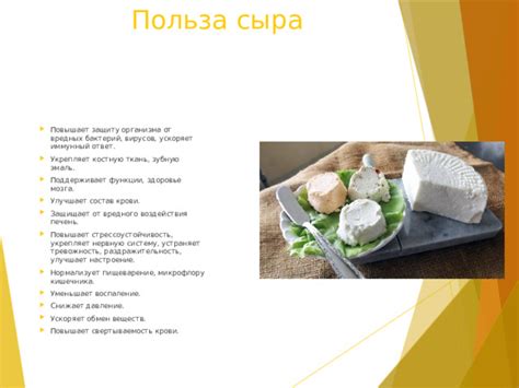 Влияние копченого сыра на обмен веществ