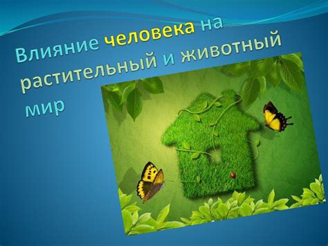 Влияние лучей солнца на животный и растительный мир экватора