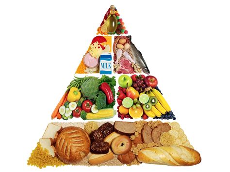 Влияние нагревания пластикового материала на продукты питания