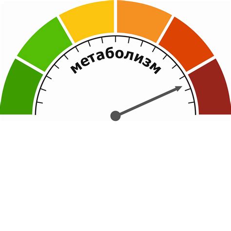 Влияние нарушения обмена веществ на потоотделение