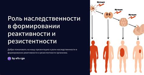 Влияние наследственности на образование щетины