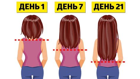 Влияние некоторых лекарств на рост волос на животе
