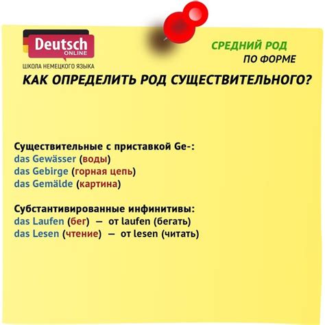 Влияние неодушевленности на определение рода существительного