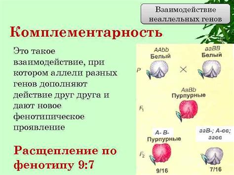 Влияние нескольких выниманий