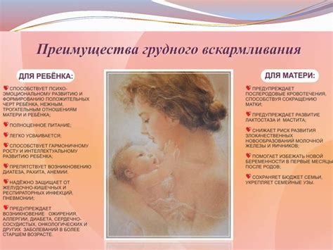 Влияние огурцов на качество грудного молока