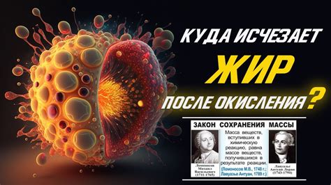 Влияние окисления на цвет говяжего жира и его качество