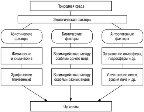 Влияние окружающей среды на организм