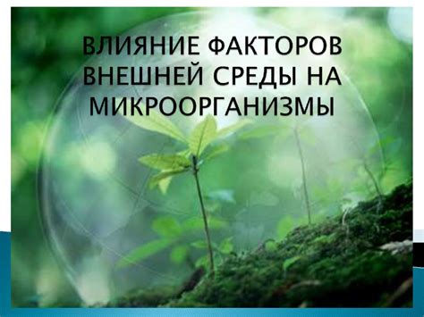 Влияние окружающей среды на проблему с открытым ртом у младенца