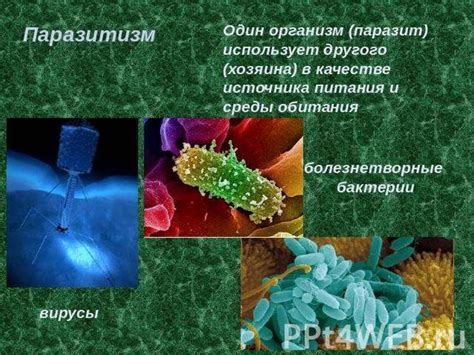 Влияние окружающей среды на развитие болезней