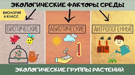 Влияние окружающей среды на развитие растений и животных