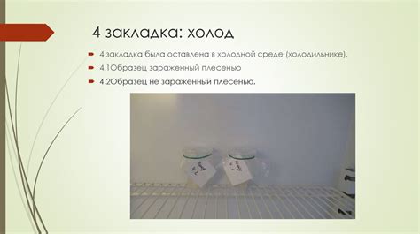 Влияние окружающей среды на рост