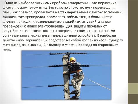 Влияние отсутствия электричества на жизнь жителей