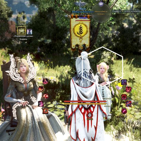 Влияние питомцев на улучшение феи в Black Desert Online