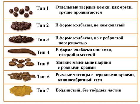 Влияние пищи на цвет кала