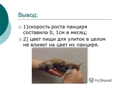 Влияние пищи на цвет панциря