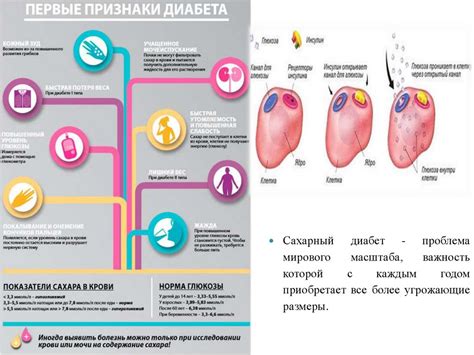 Влияние повышенного уровня сахара на жевательную реакцию