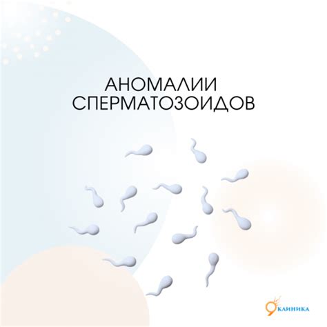 Влияние подогрева сиденья на мужскую репродуктивную систему