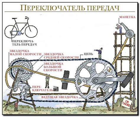 Влияние предназначения велосипеда на скорость