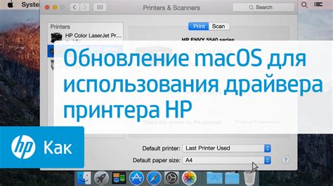 Влияние программного обеспечения и драйверов принтера