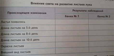 Влияние света и тени на впечатление от скула