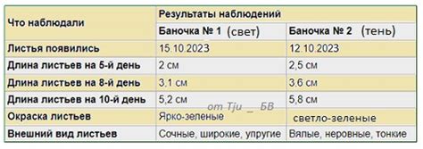 Влияние света на цвет листьев замиокулькаса