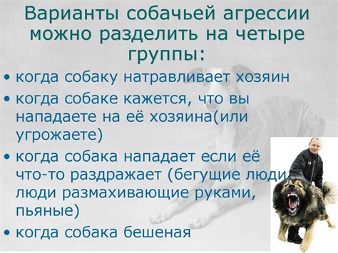 Влияние собачьей агрессии на страх перед волками