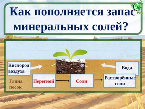 Влияние солей в почве
