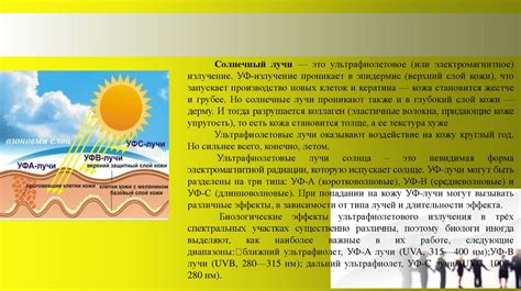 Влияние солнечных ванн на кожу
