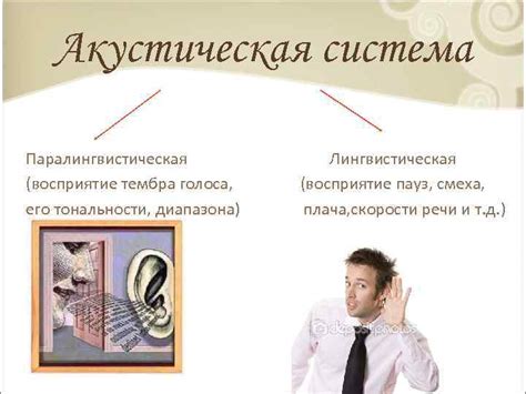 Влияние тембра голоса на восприятие