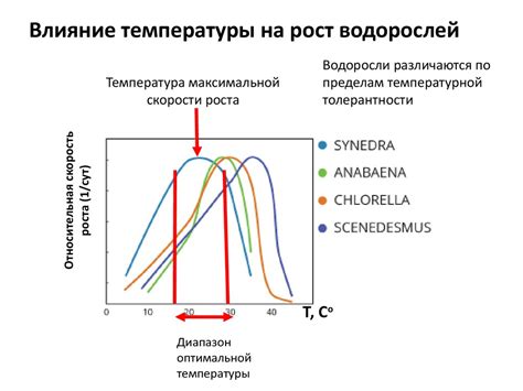 Влияние температуры на каменение порошка